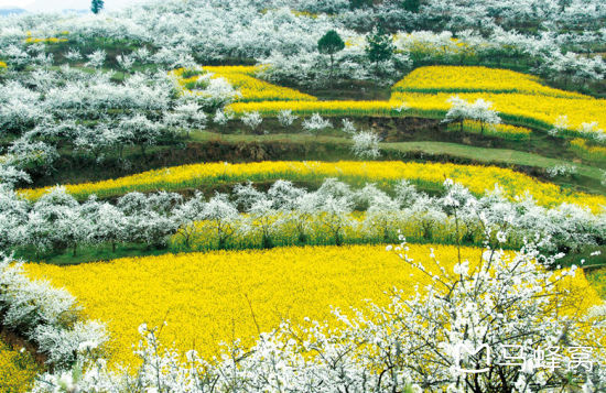 19年3-4月去贵州自由行,10天左右全景游行程如何安排?