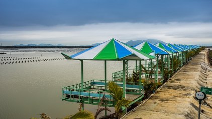 江门神灶温泉门票