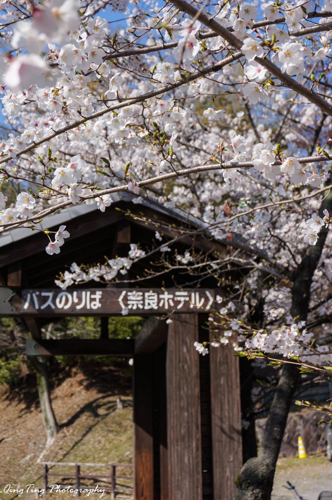 日本自助遊攻略