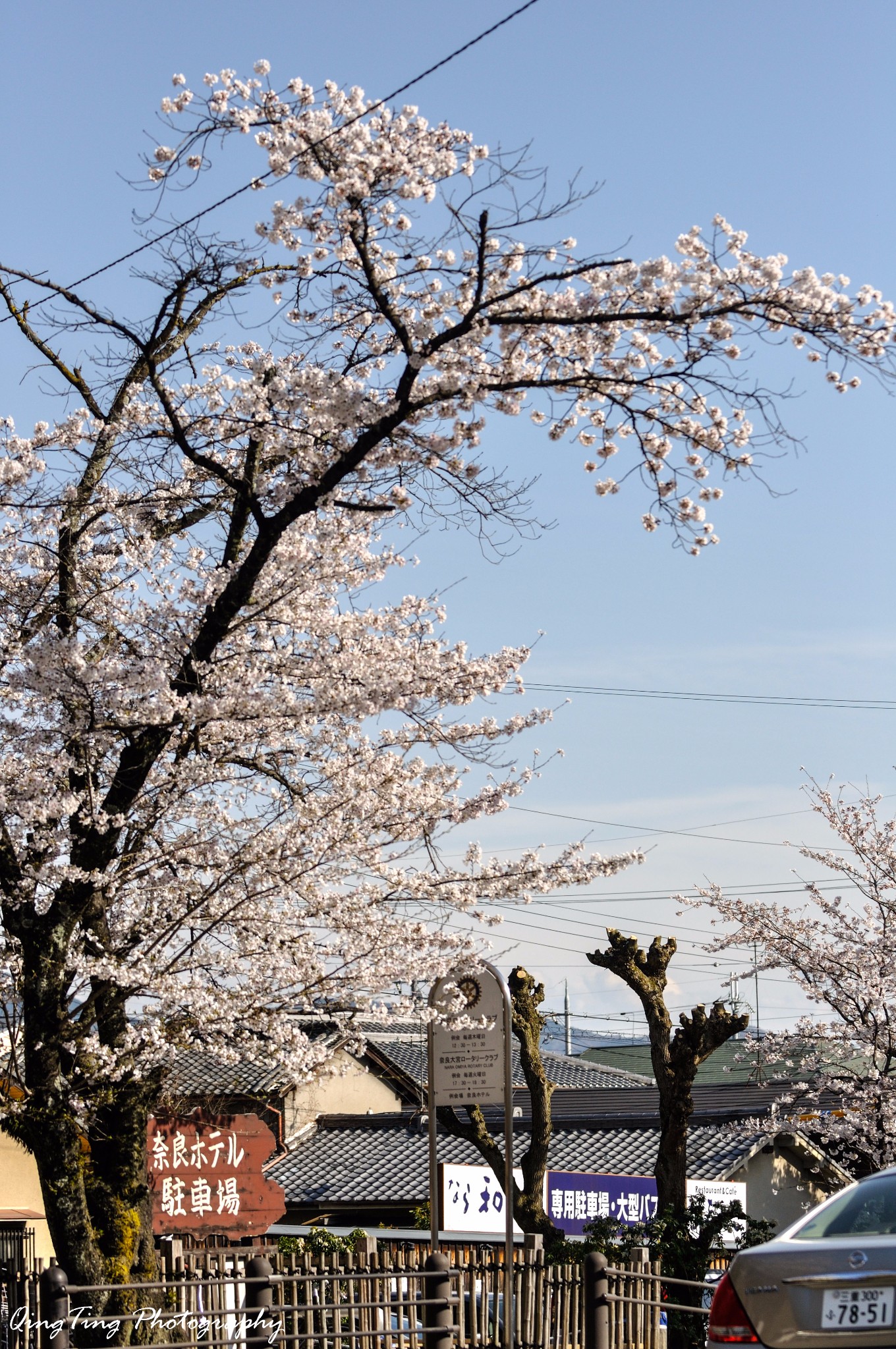 日本自助遊攻略