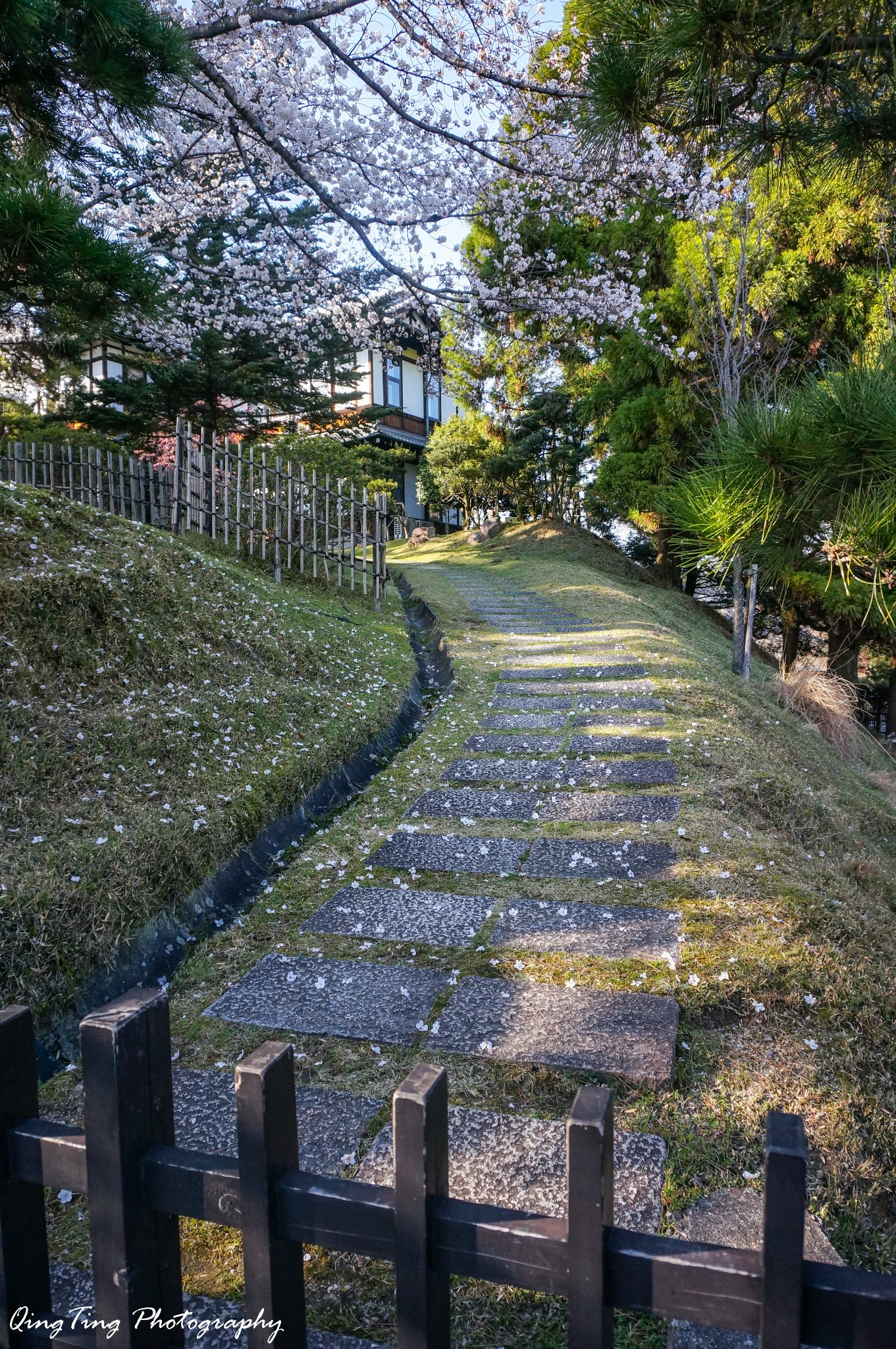 日本自助遊攻略