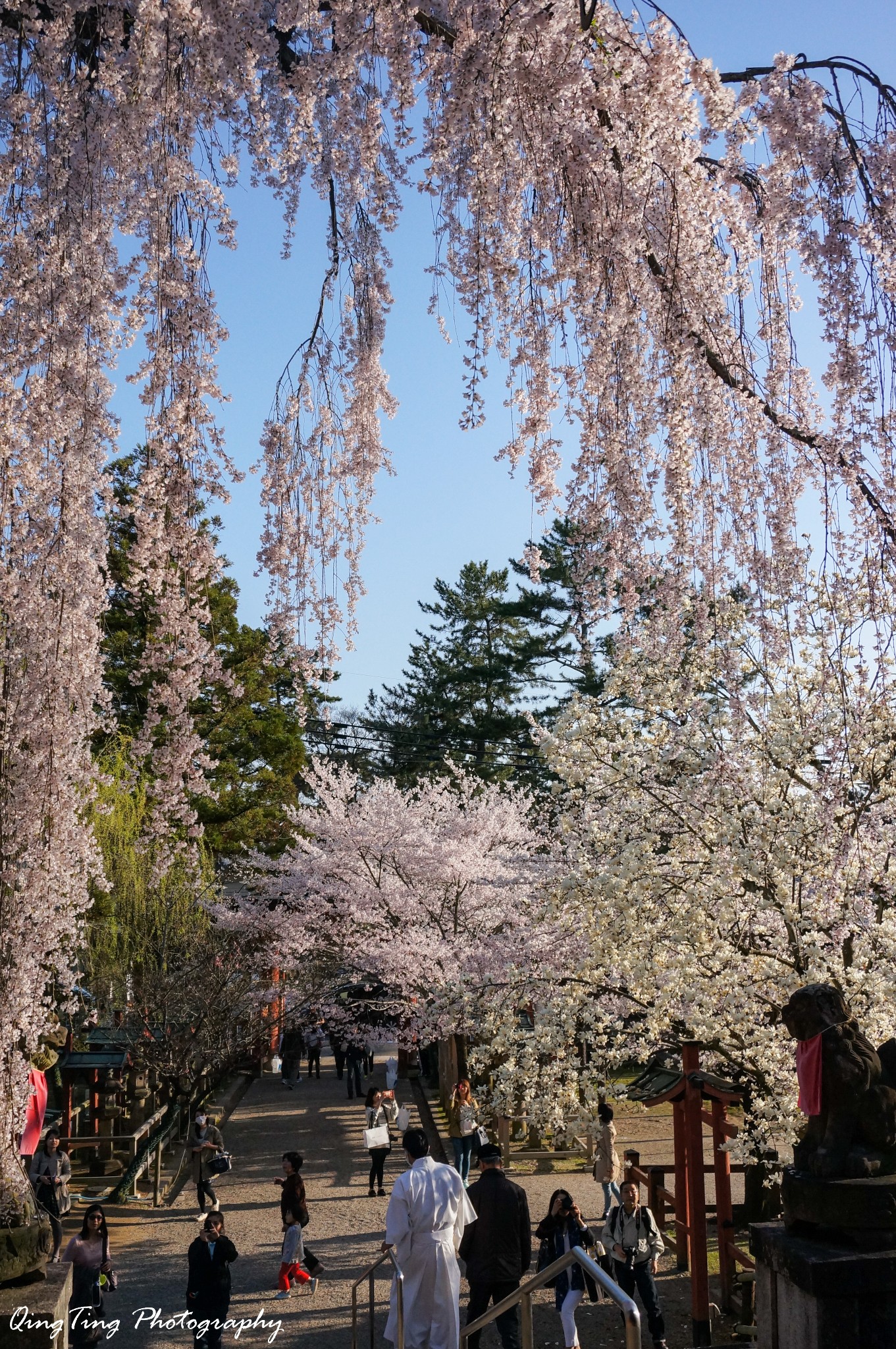 日本自助遊攻略