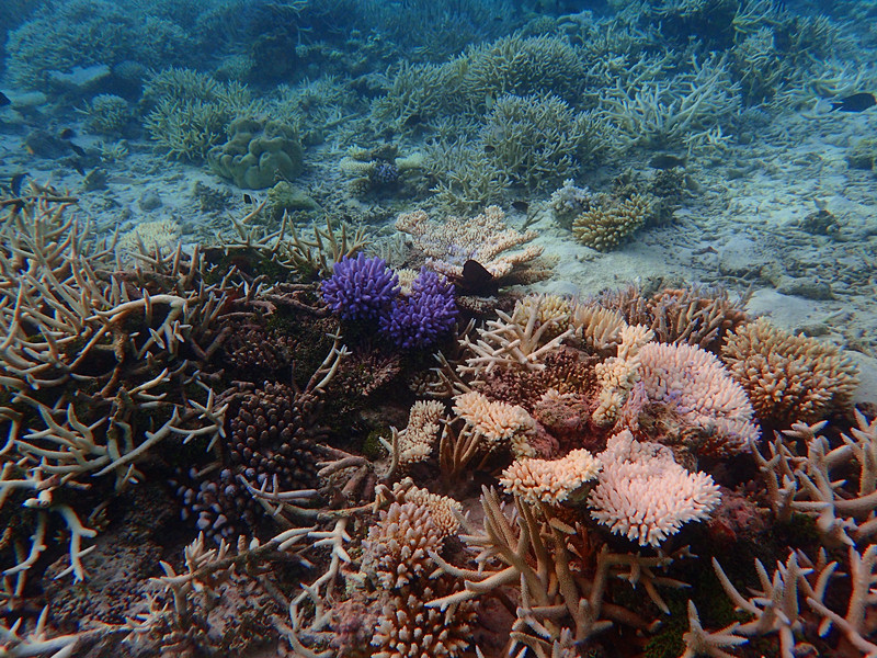 driftforeveronthesea∣马尔代夫隔世之岛