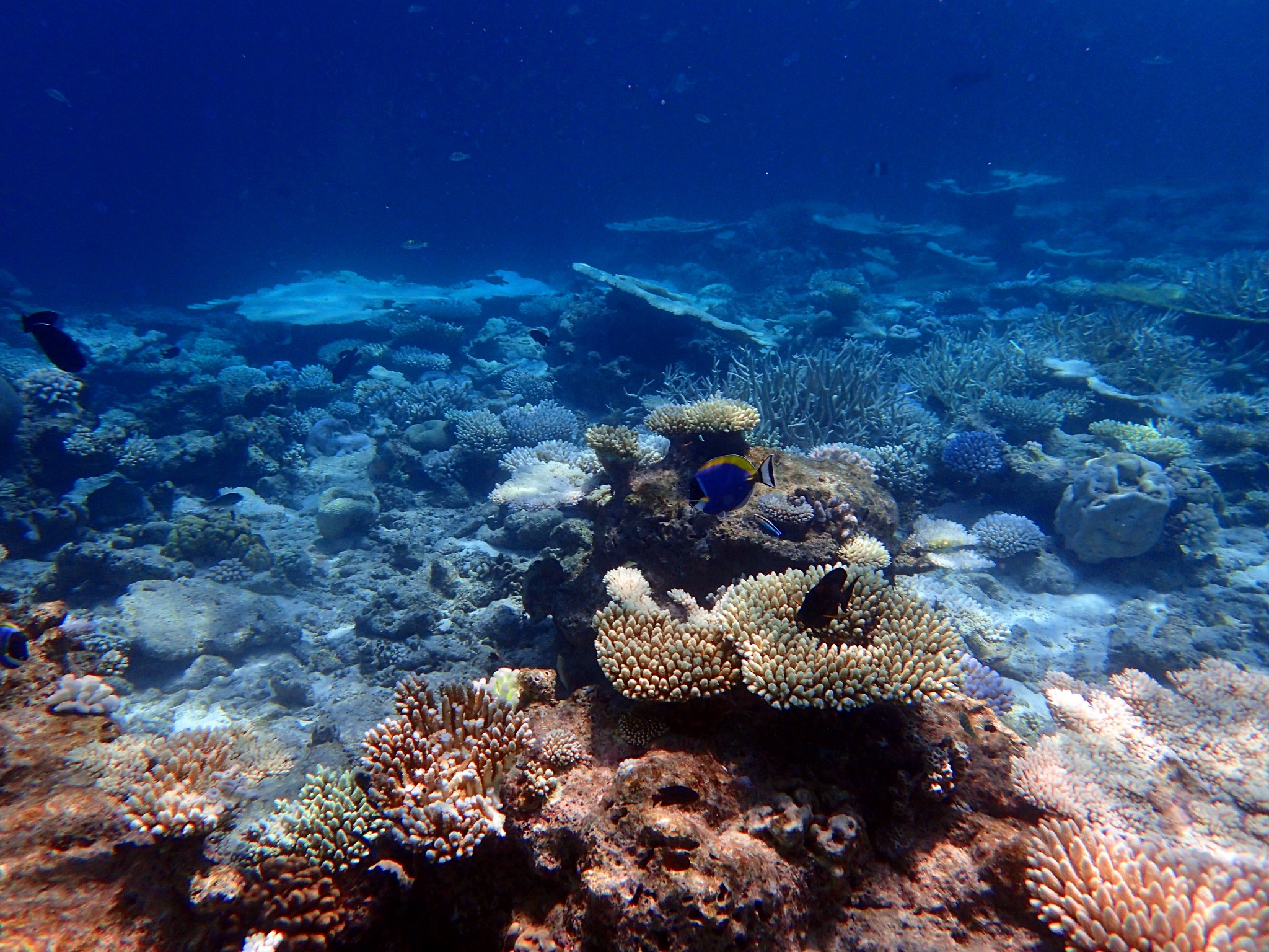 driftforeveronthesea∣马尔代夫隔世之岛