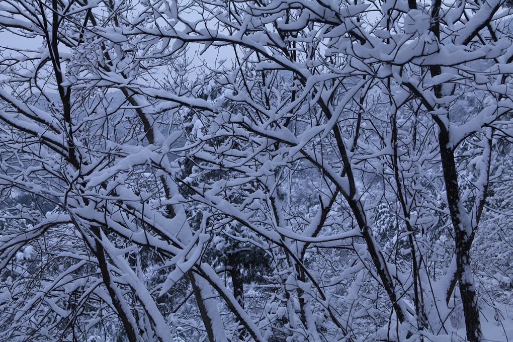 2016 那日 寒山雪