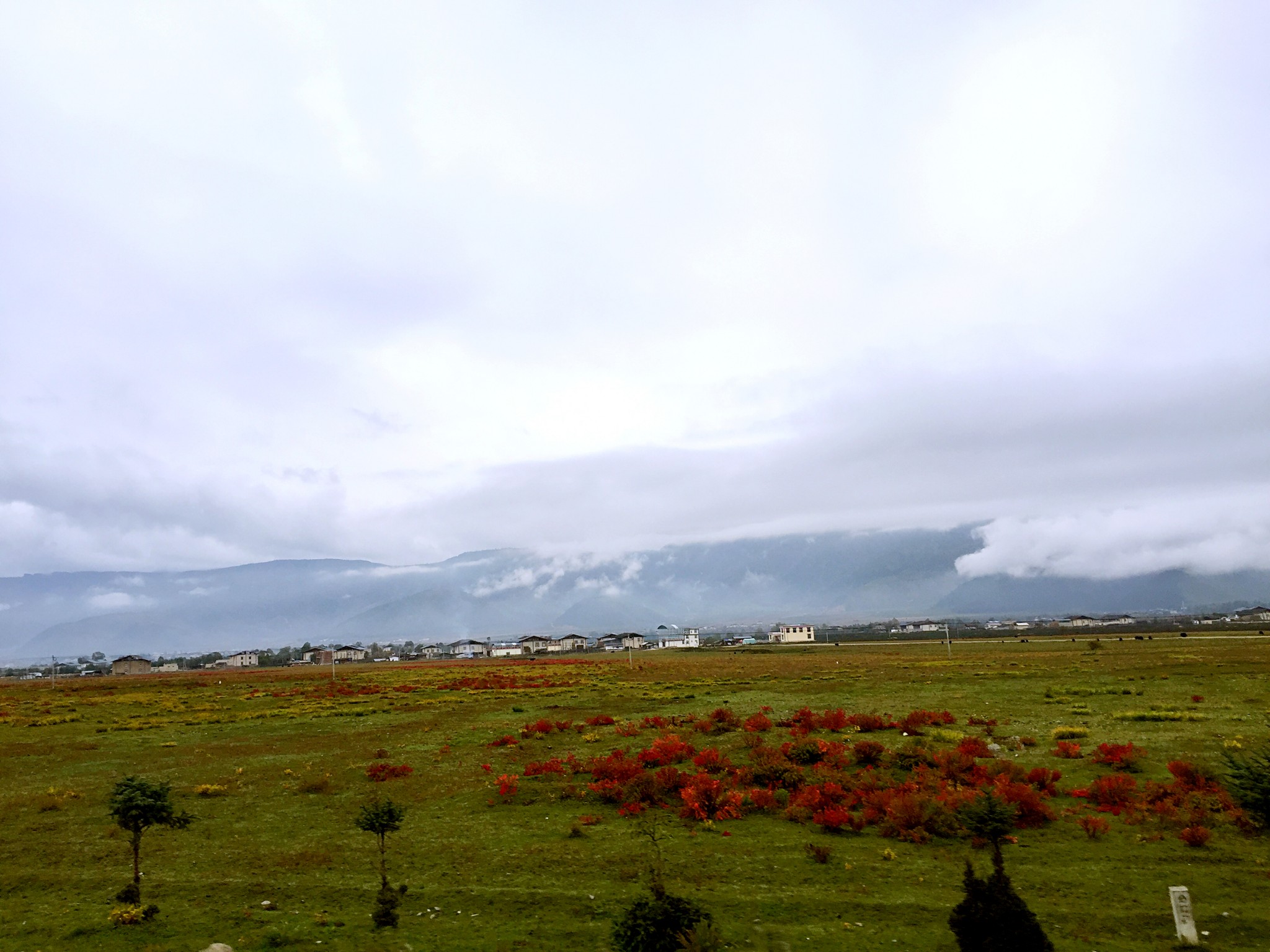 雨崩自助遊攻略