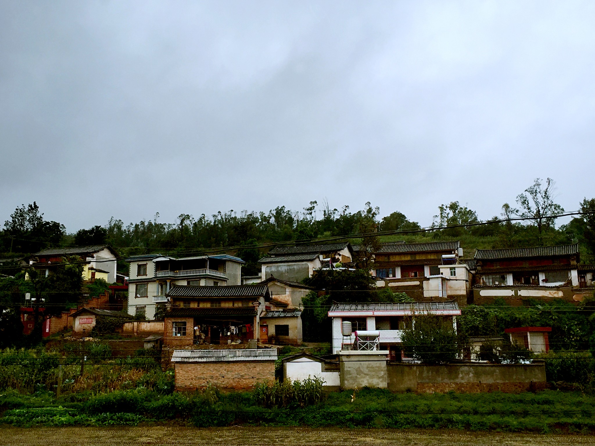 雨崩自助遊攻略