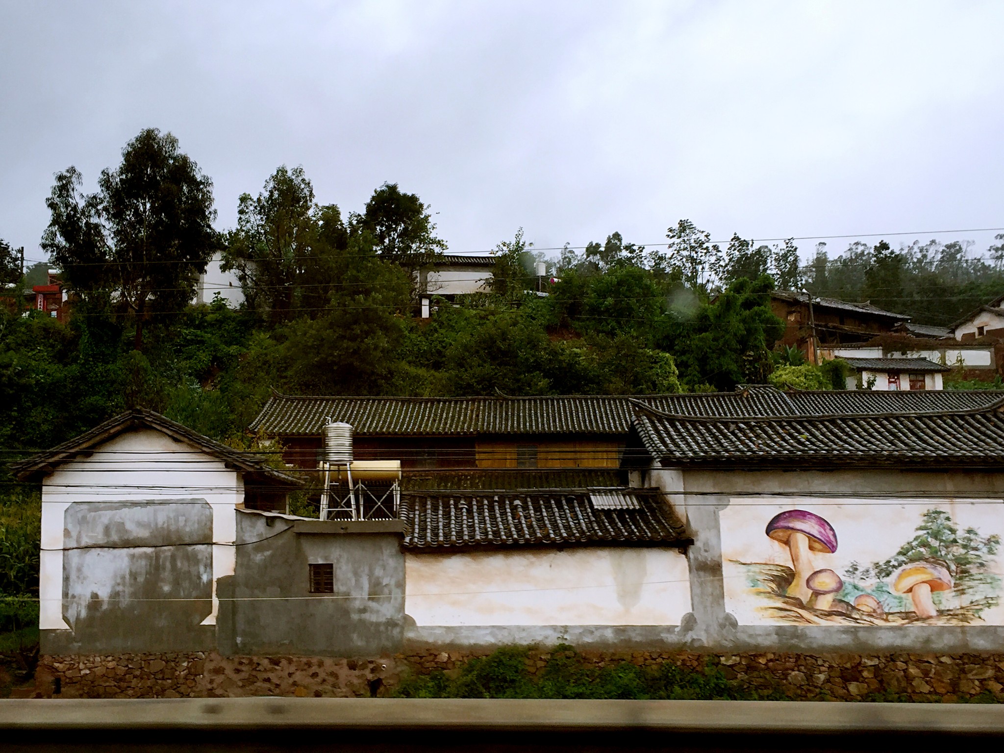 雨崩自助遊攻略