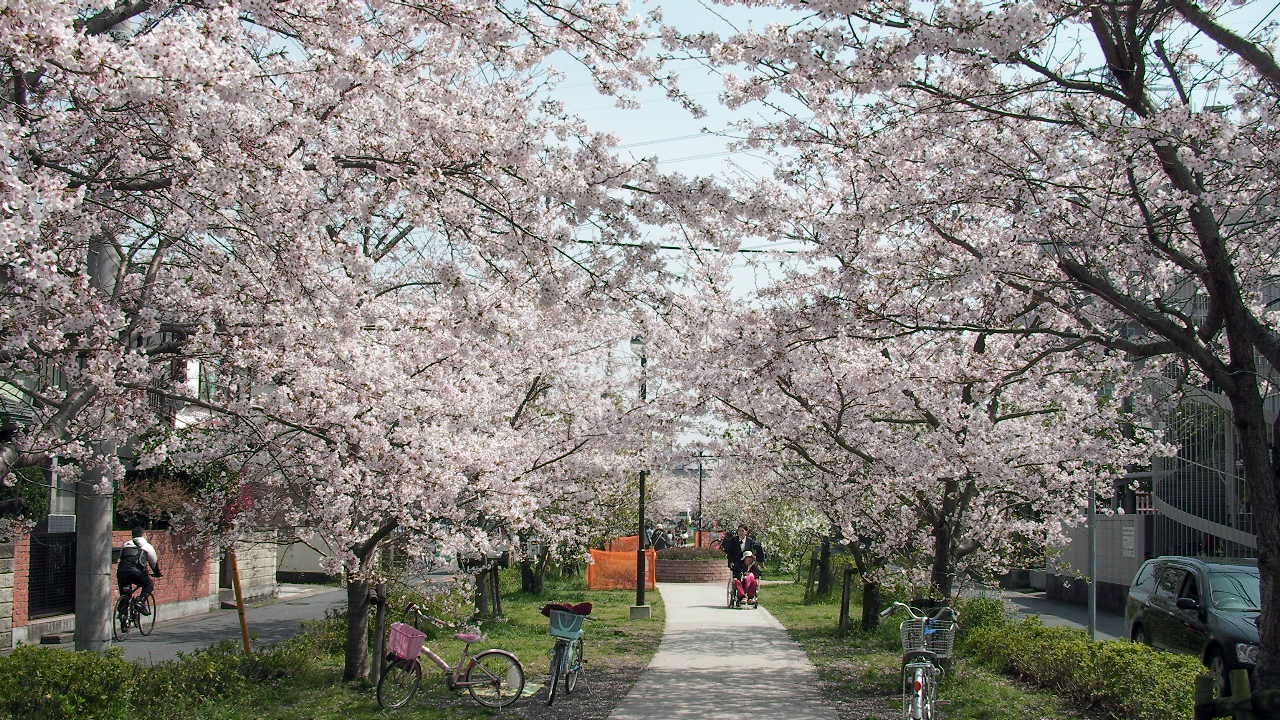 市川市