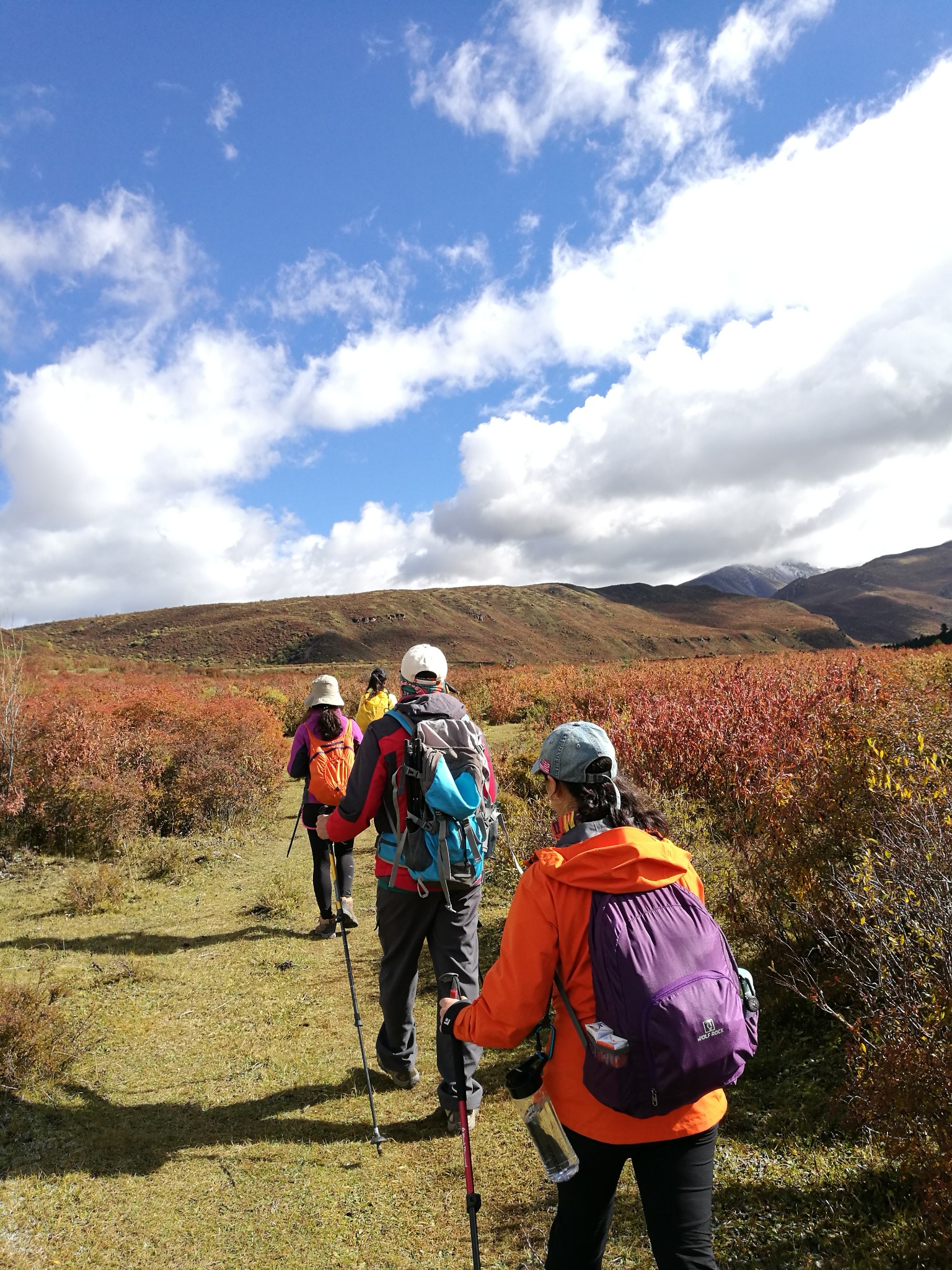 面朝雪山,背倚太陽—行七藏溝,松潘自助遊攻略 - 馬蜂窩