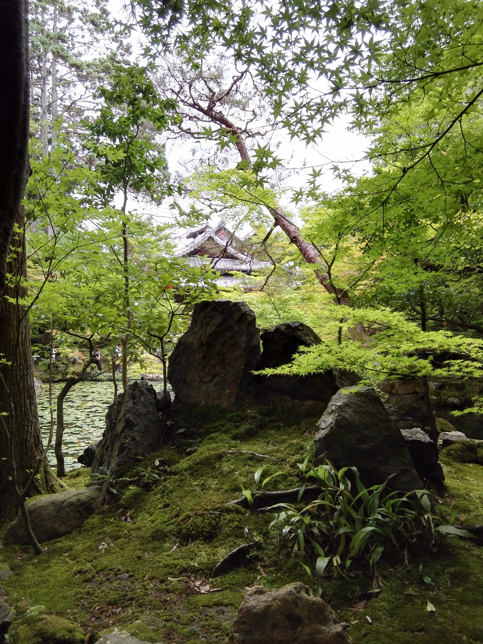 京都自助遊攻略