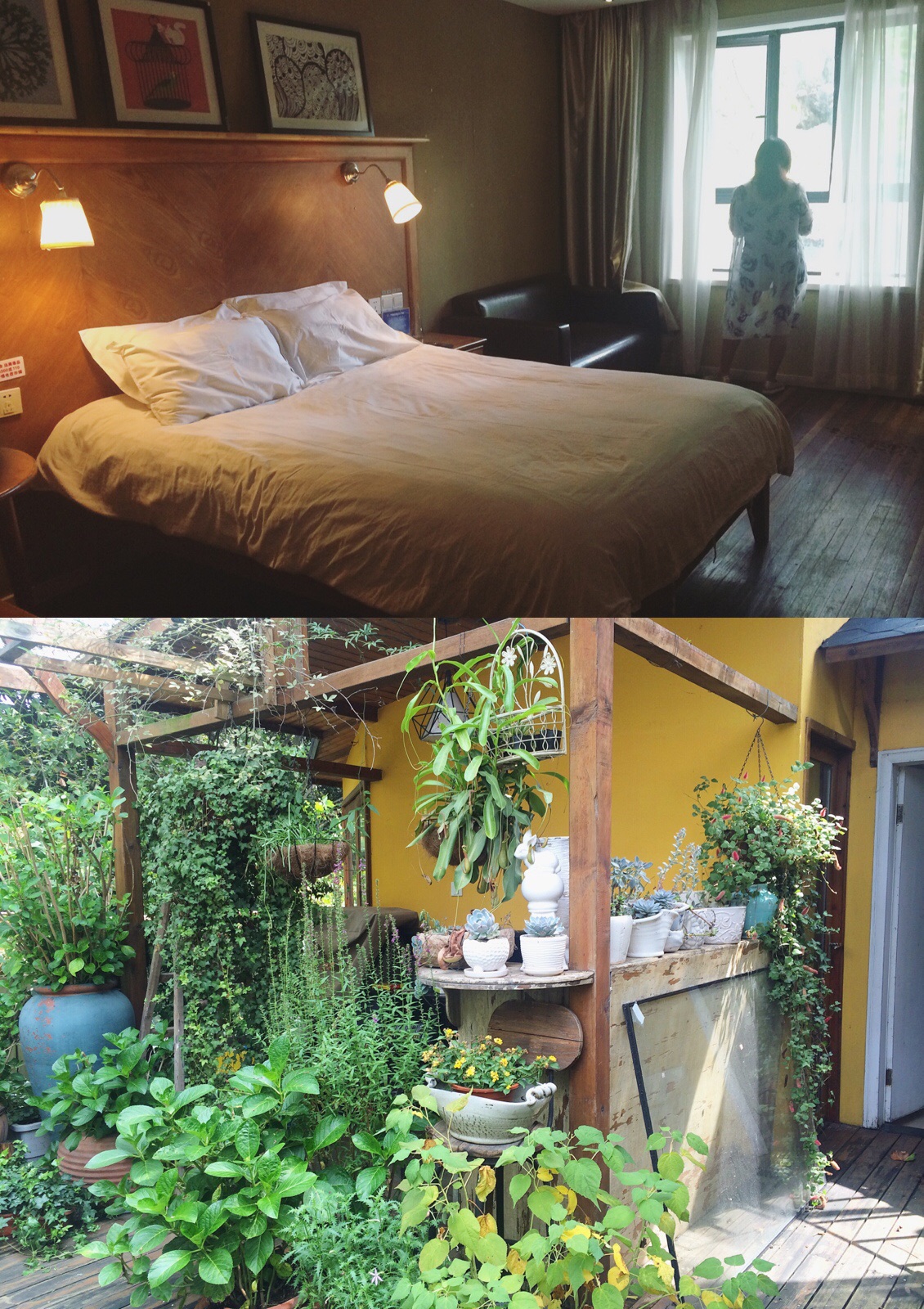 入住西湖边上的柳湖小筑