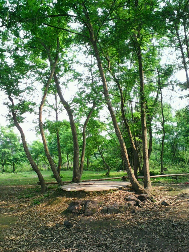 龙洪风景区