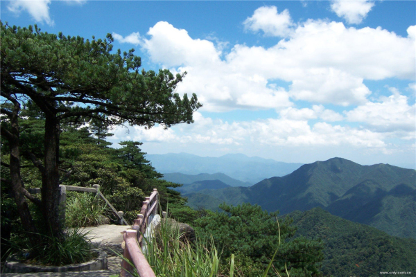 韶关南岭国家森林公园 小黄山云海 五星避暑林庄2日游(含往返交通 1正