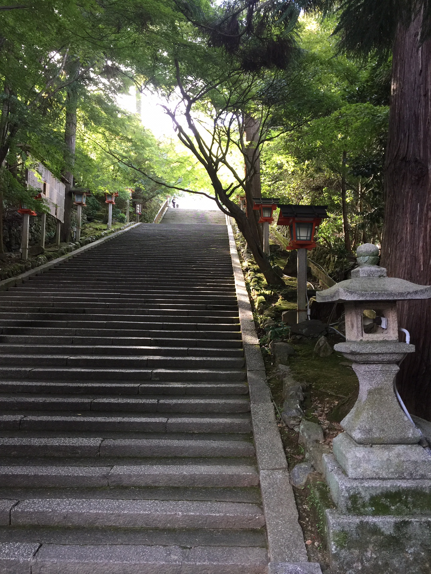 京都自助遊攻略