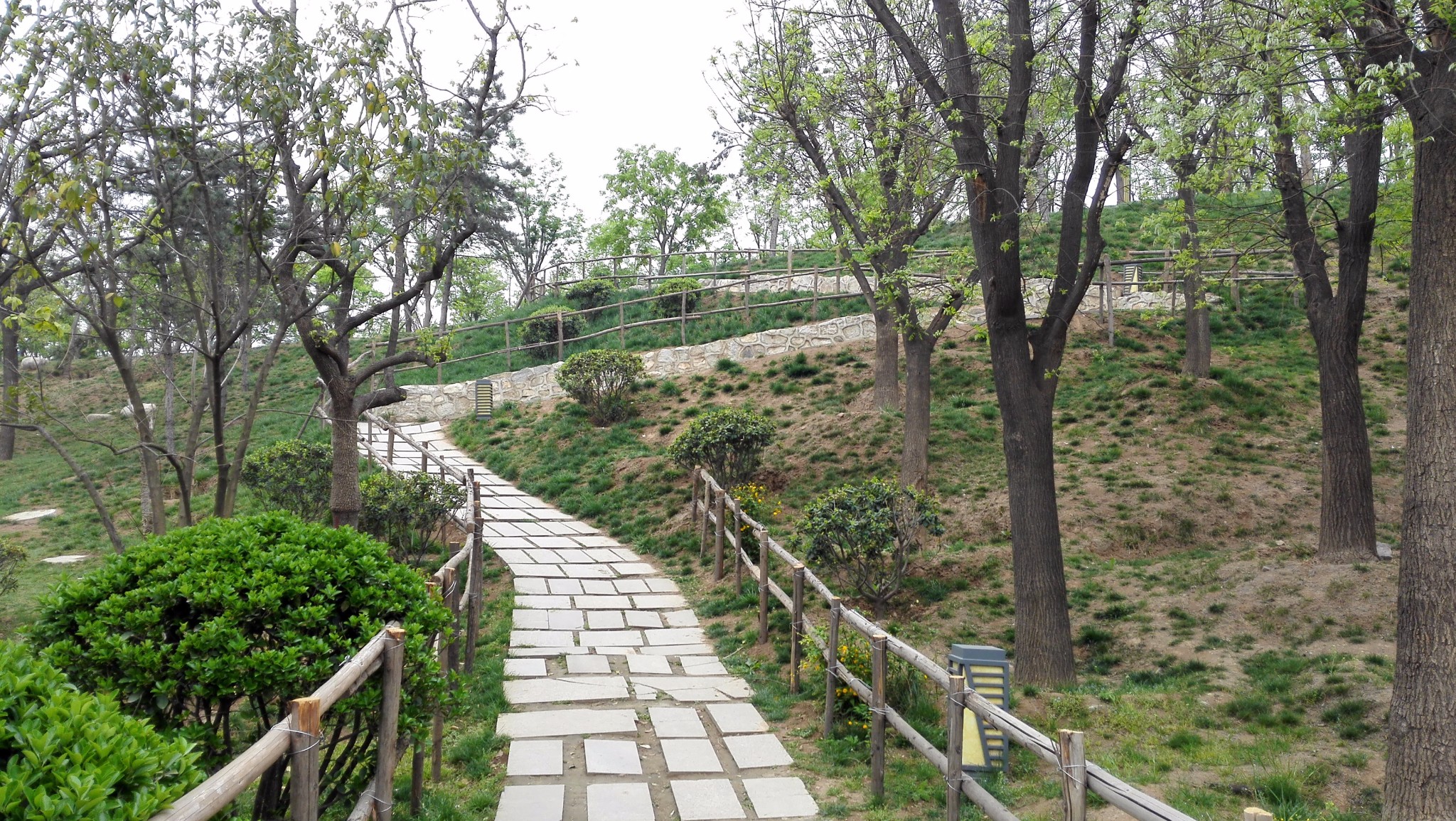 西安长安清凉山森林公园初春游