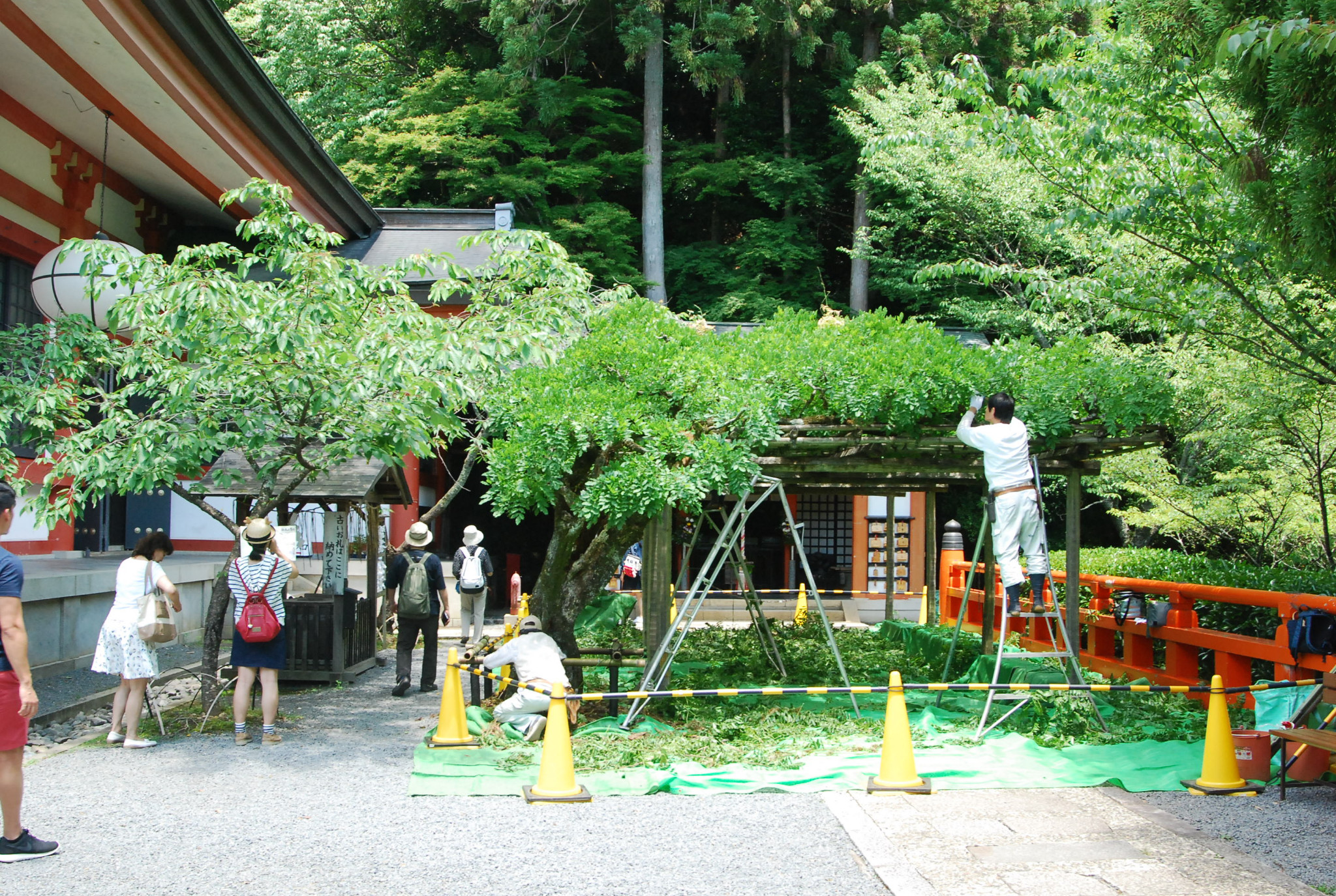 京都自助遊攻略