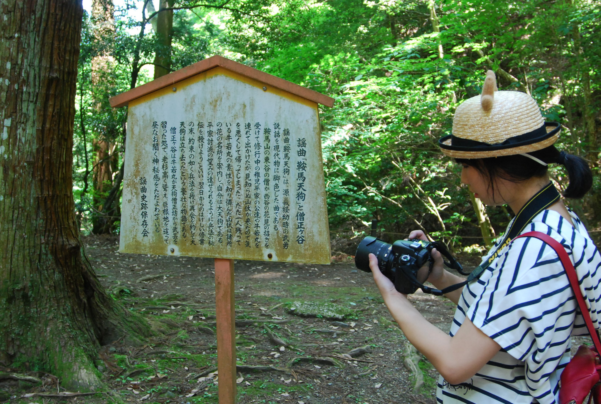 京都自助遊攻略