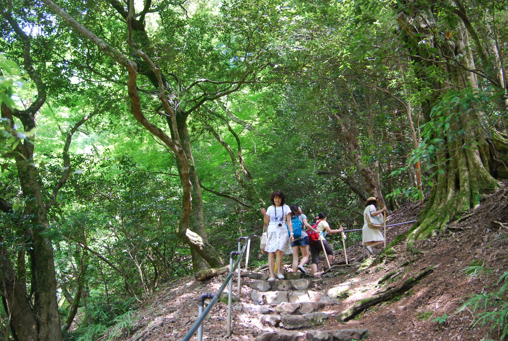 京都自助遊攻略