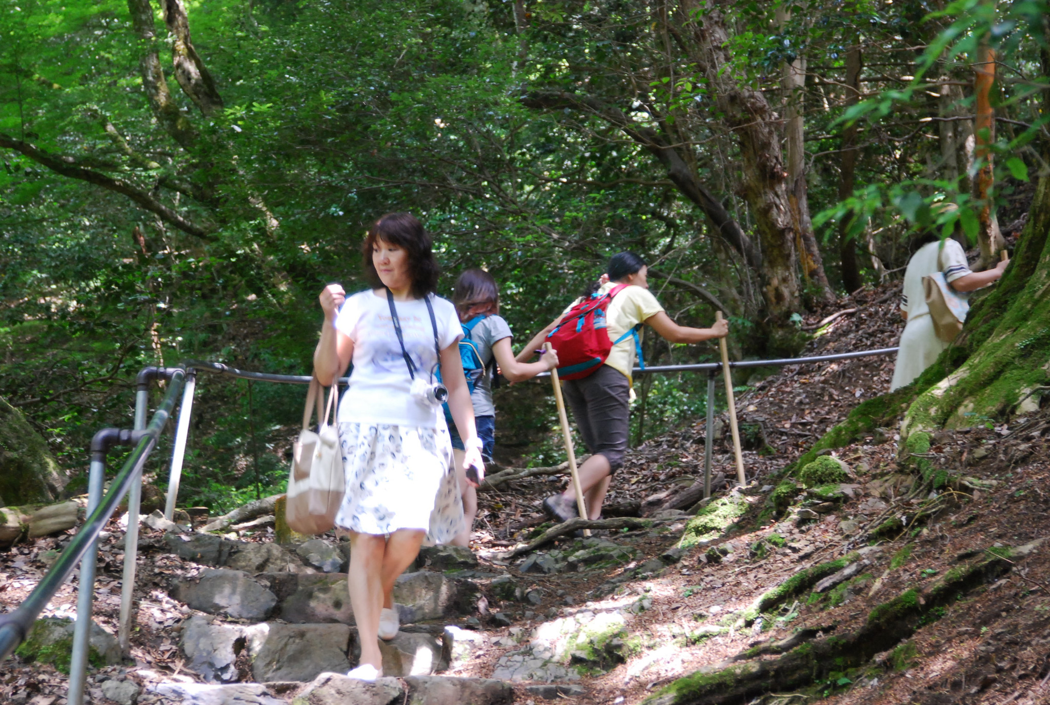 京都自助遊攻略