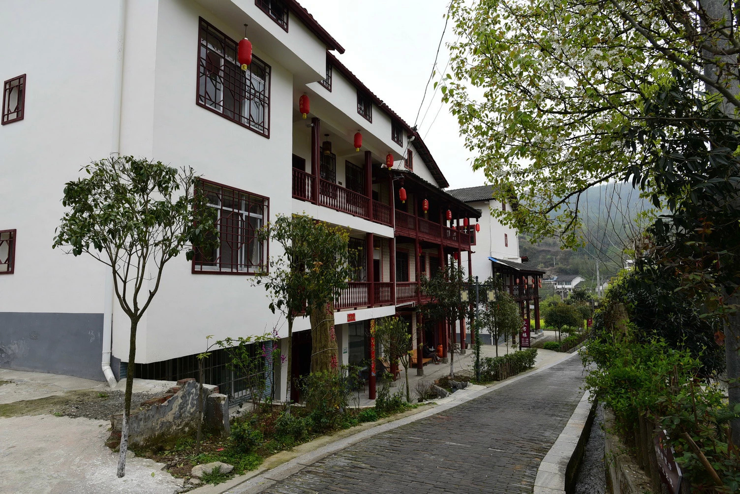 清明节游广元市青川县唐家河,青川旅游攻略 - 马蜂窝