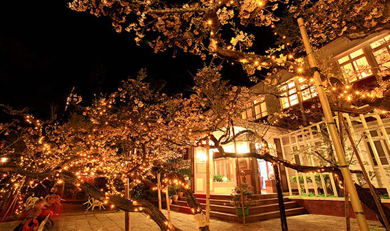 何必去日本国内7大赏樱花地等你来