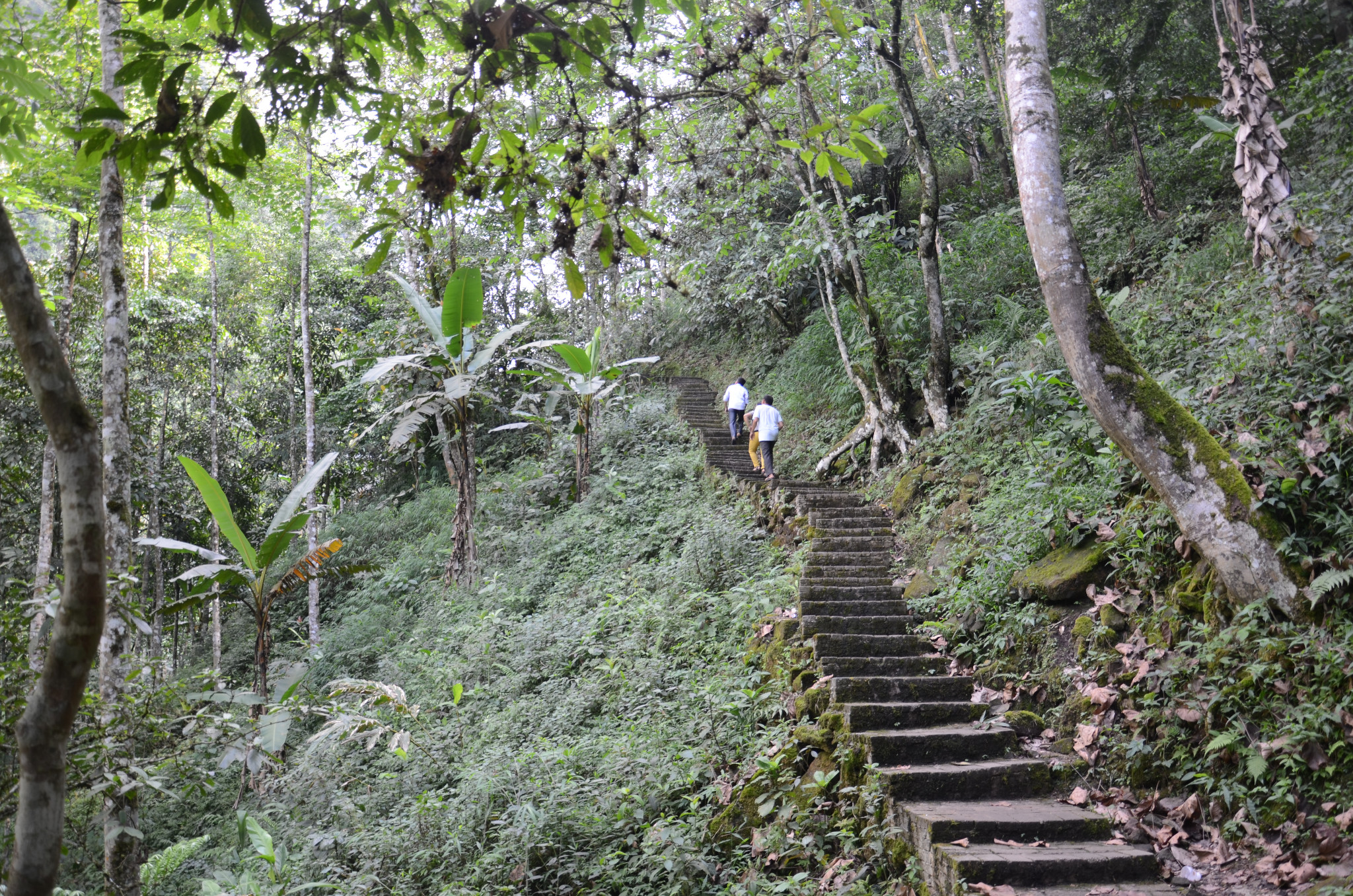 中国红河蝴蝶谷金平马鞍底平河大草原露营记