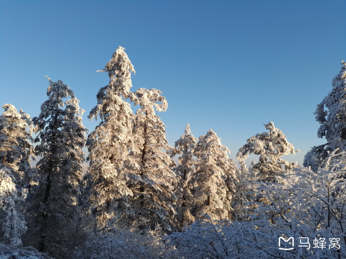 12月初不要太北哪能看雪呢