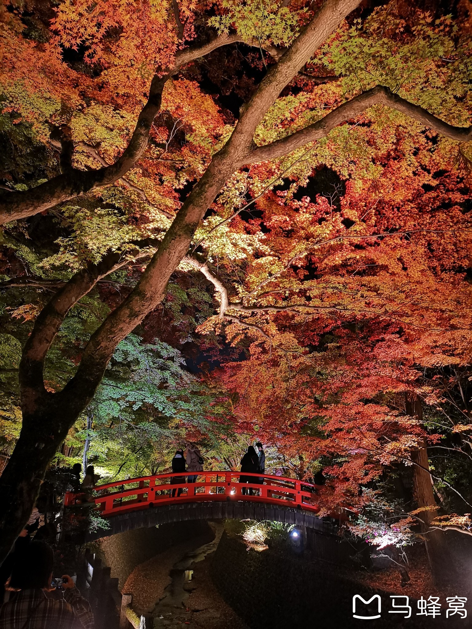 京都自助遊攻略