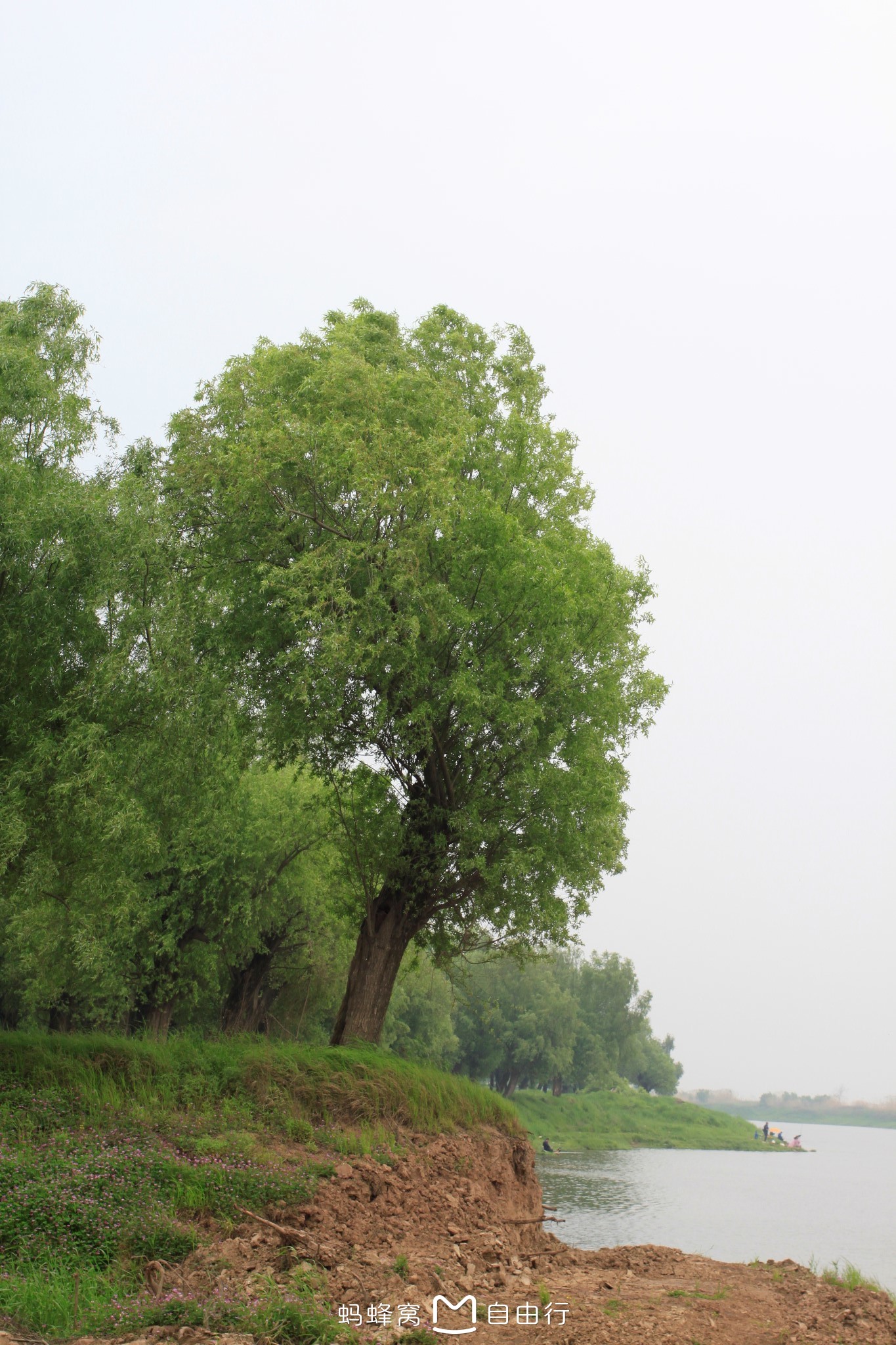 游记小赛洞庭湖畔三月春莫负春光莫负卿