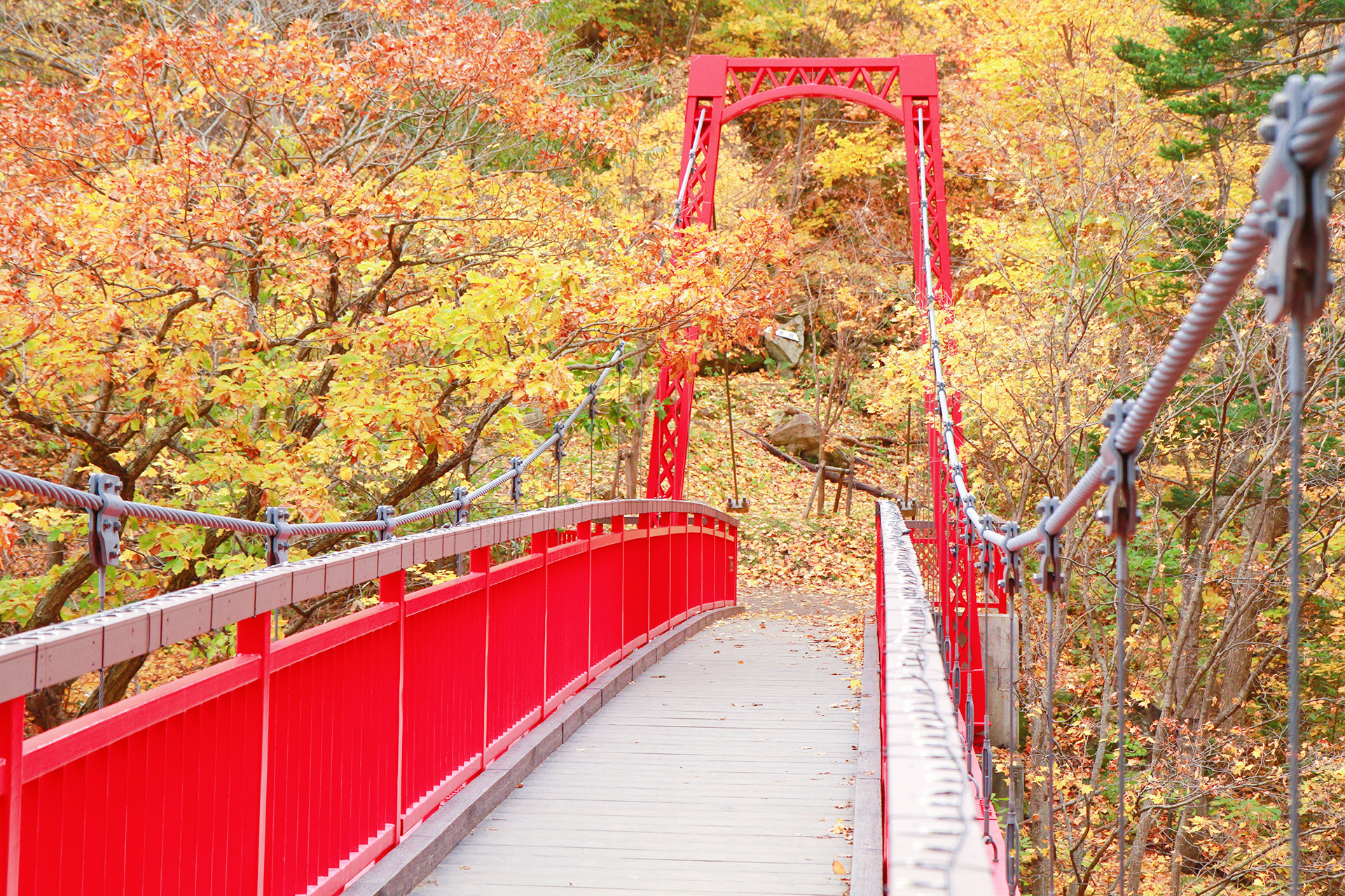 北海道自助遊攻略