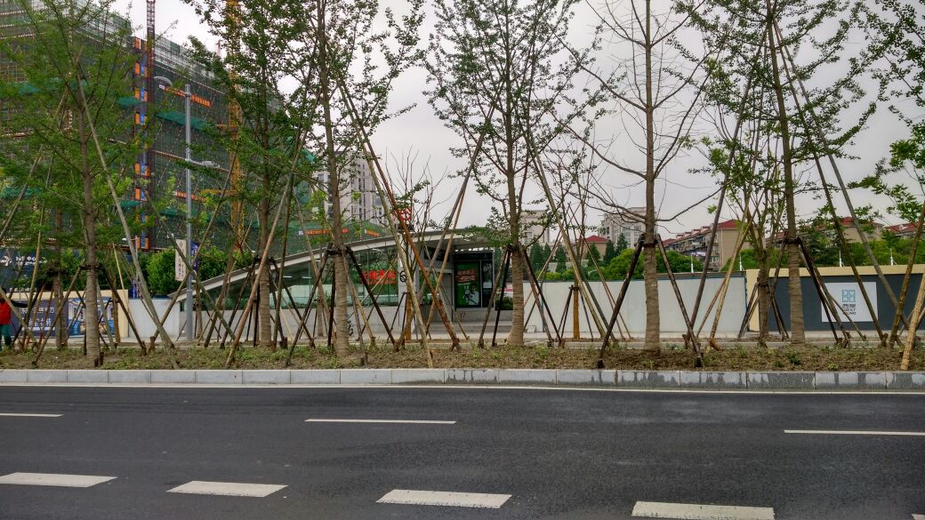 云锦路(地铁站)