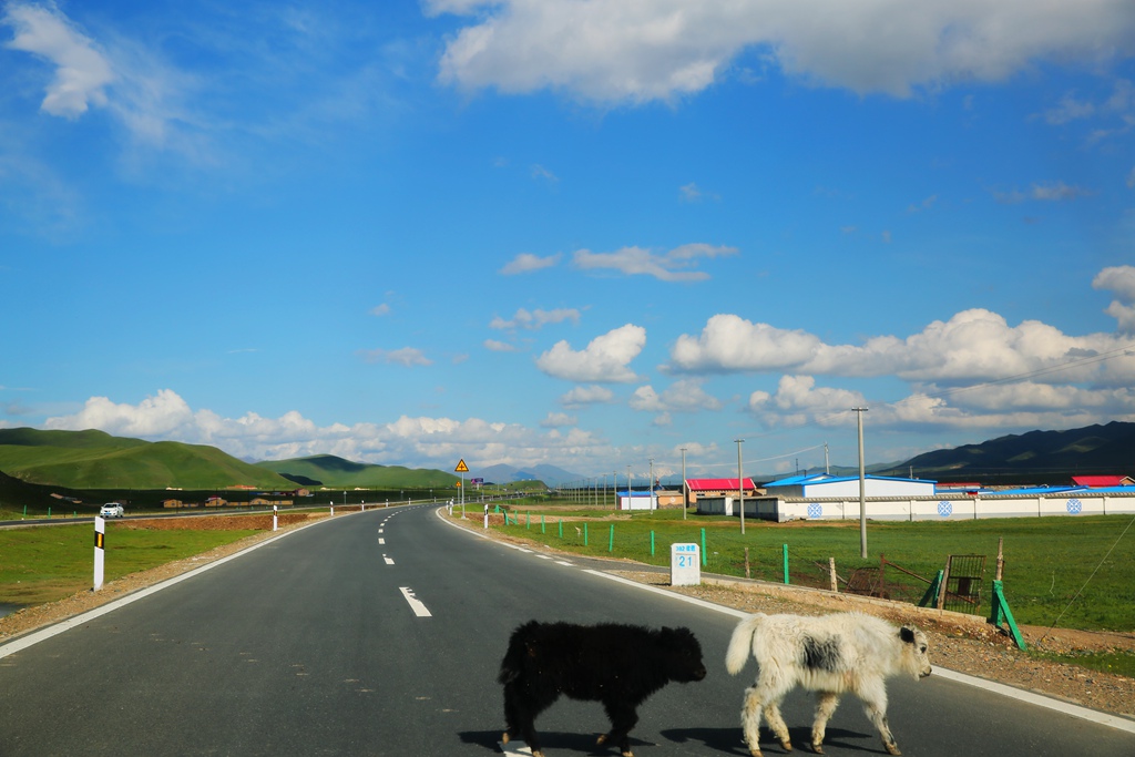 河西走廊自助遊攻略