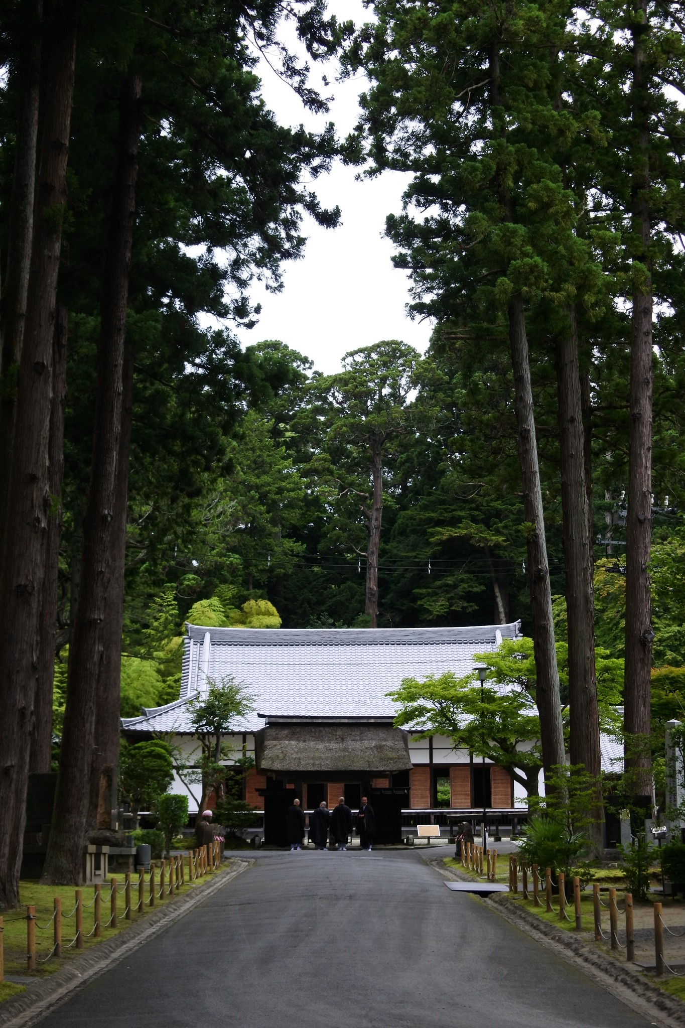 北海道自助遊攻略