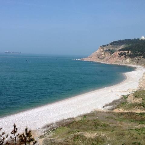 lenabush