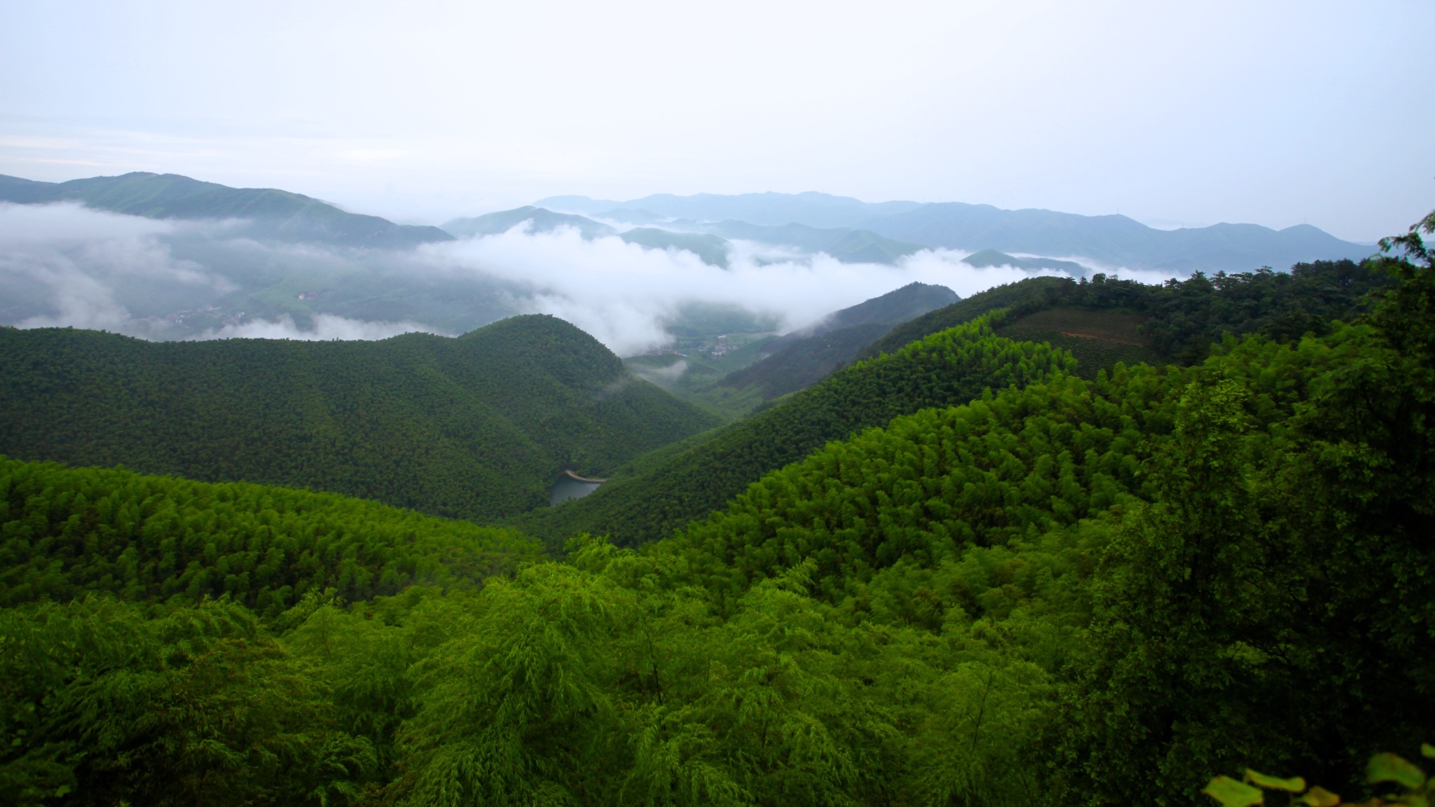 最美中國行# 江南第一山:莫干山 - 馬蜂窩