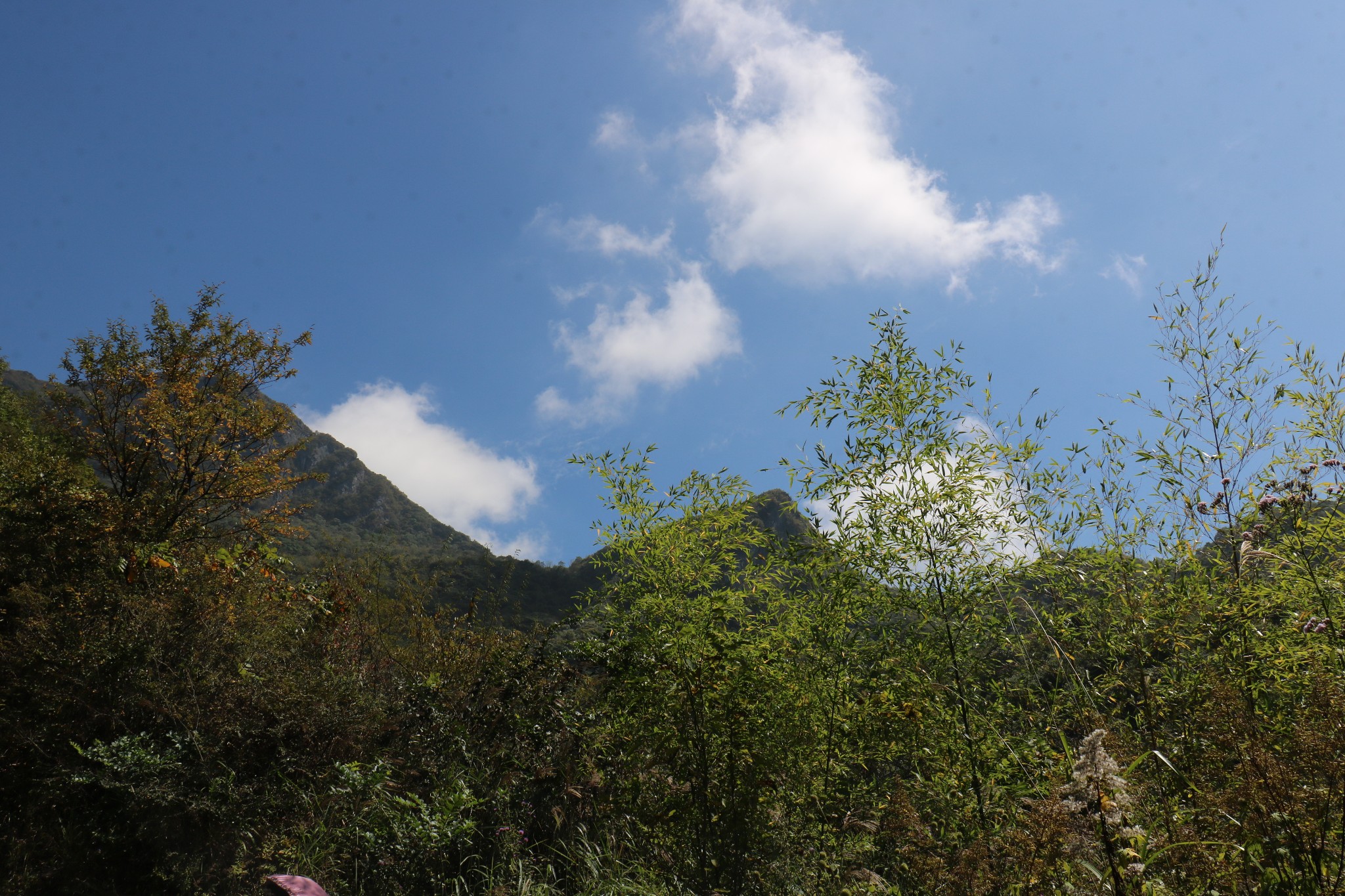 南嶽衡山--湖南屋脊壺瓶山,南嶽區自助遊攻略 - 馬蜂窩