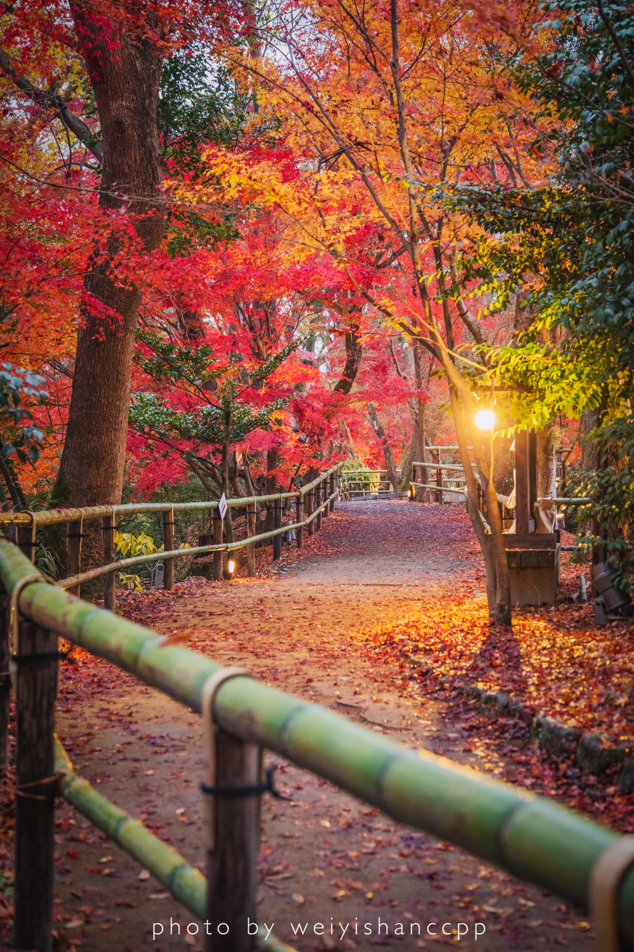 京都自助遊攻略