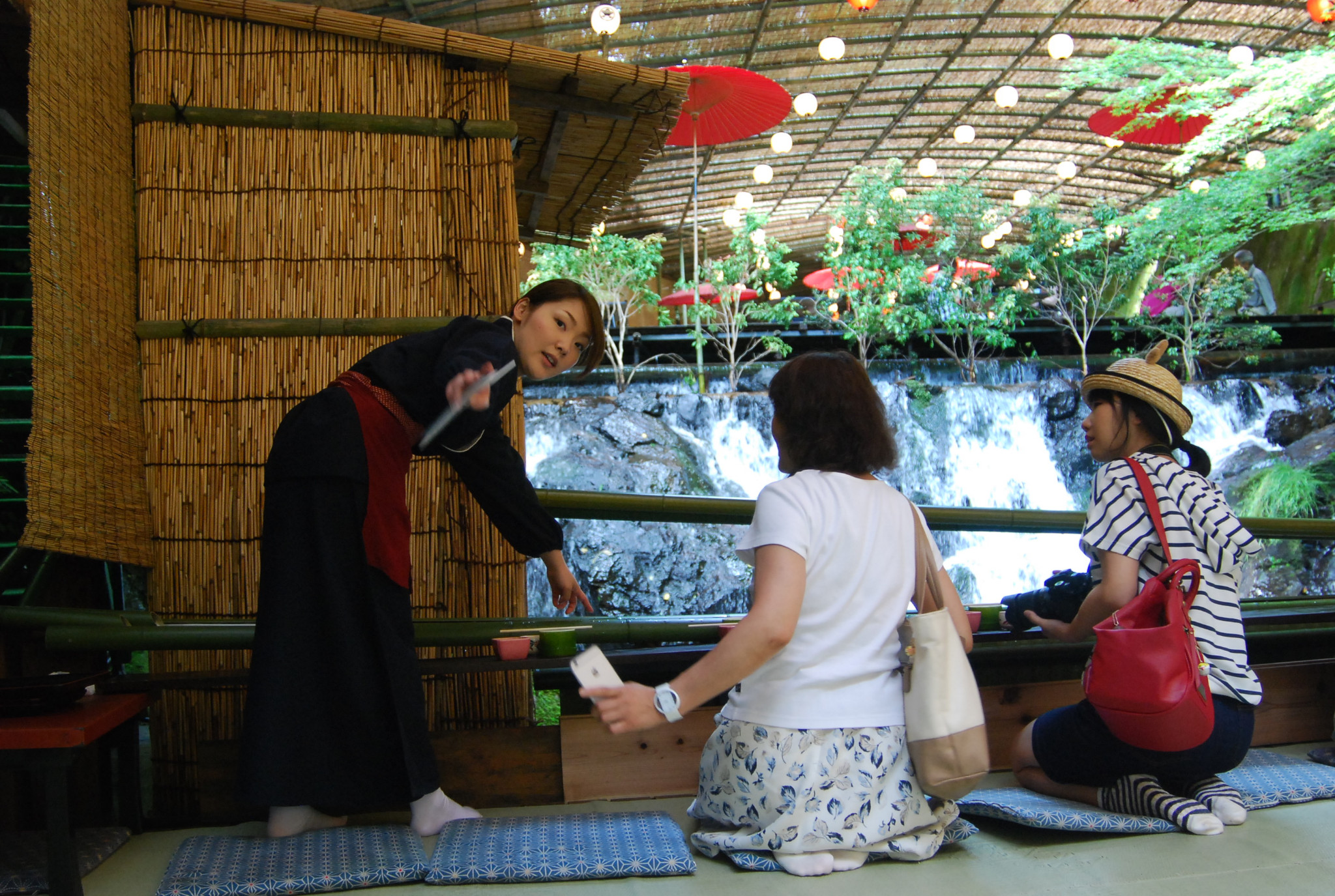 京都自助遊攻略