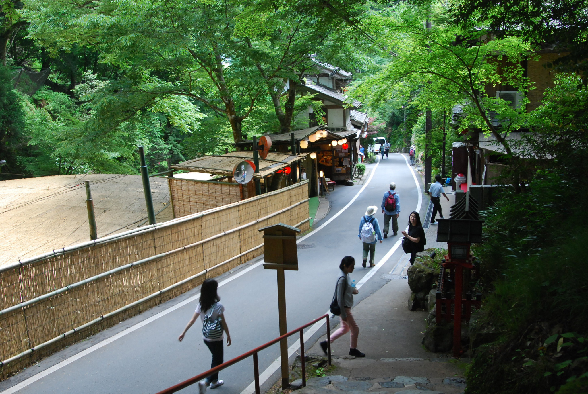 京都自助遊攻略