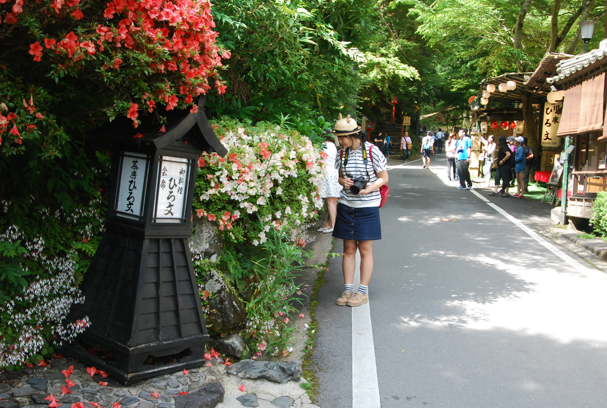 京都自助遊攻略