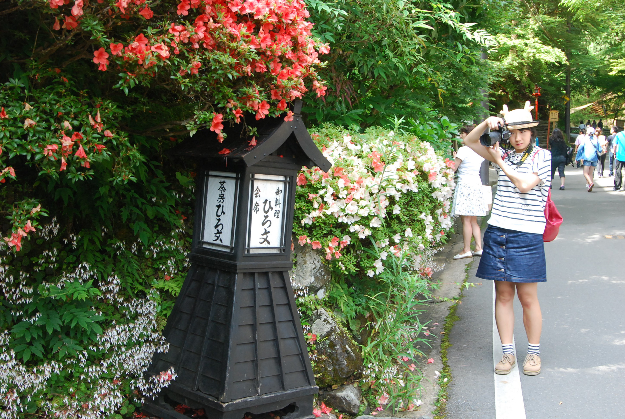 京都自助遊攻略