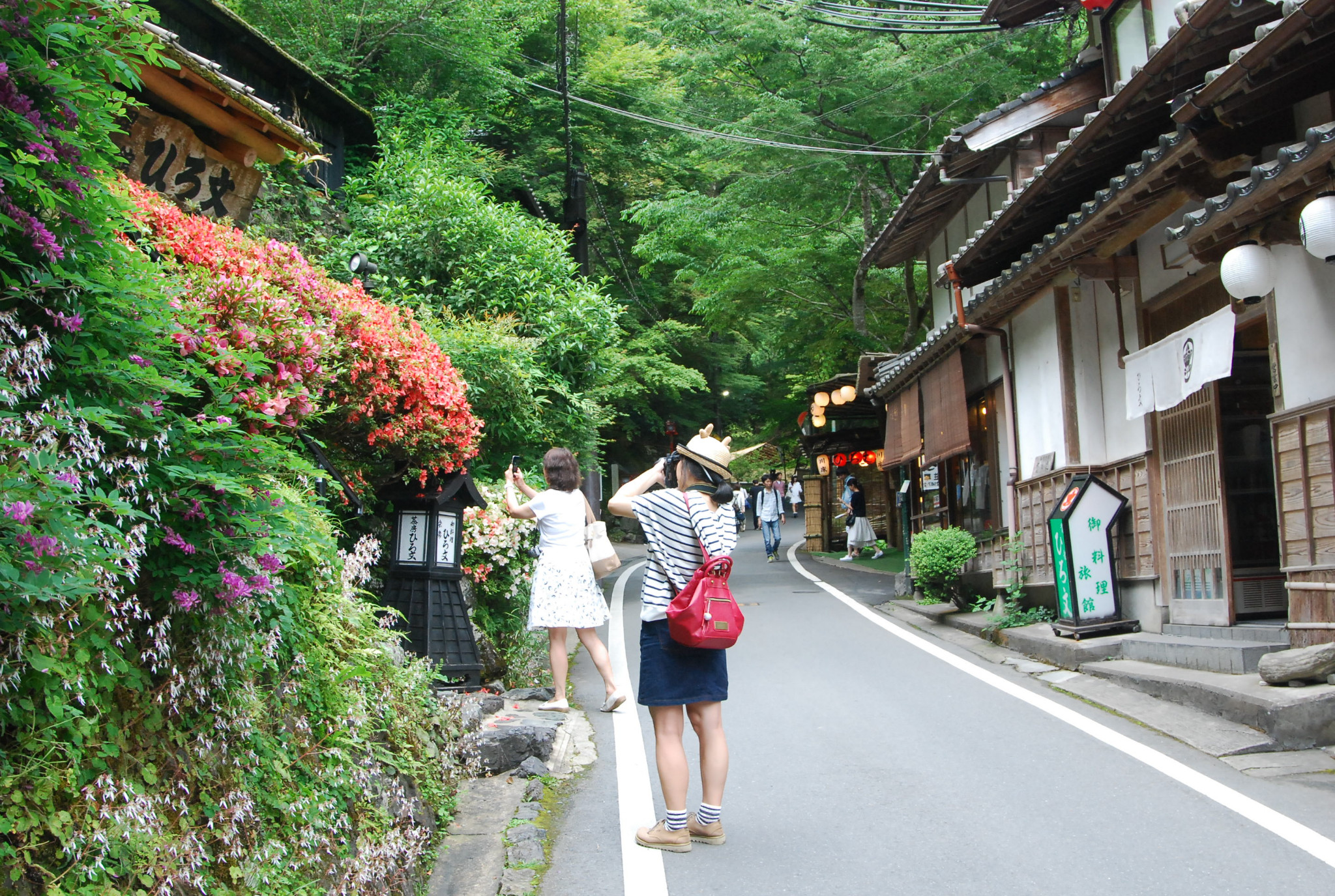 京都自助遊攻略