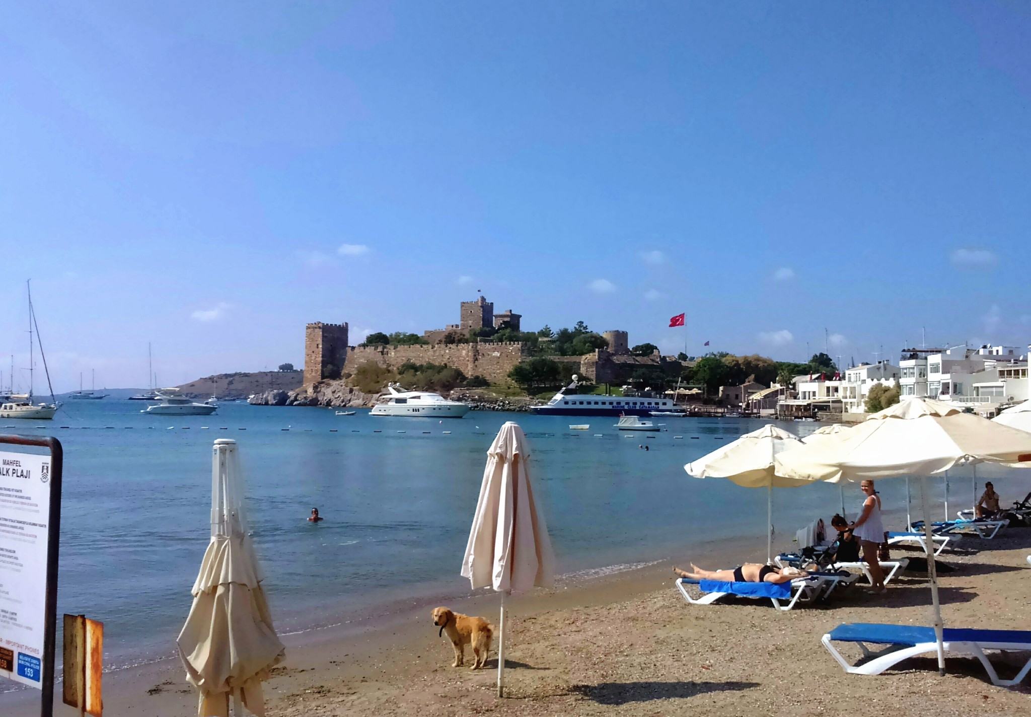 The Garden Cafe Restaurant & Bar