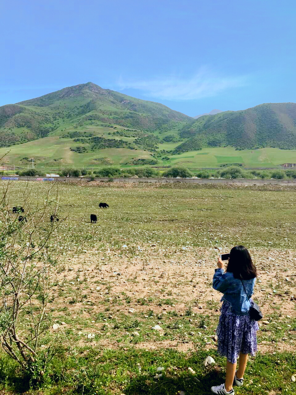 西安青海甘肅大環線遊遊遊,青海湖旅遊攻略 - 馬蜂窩