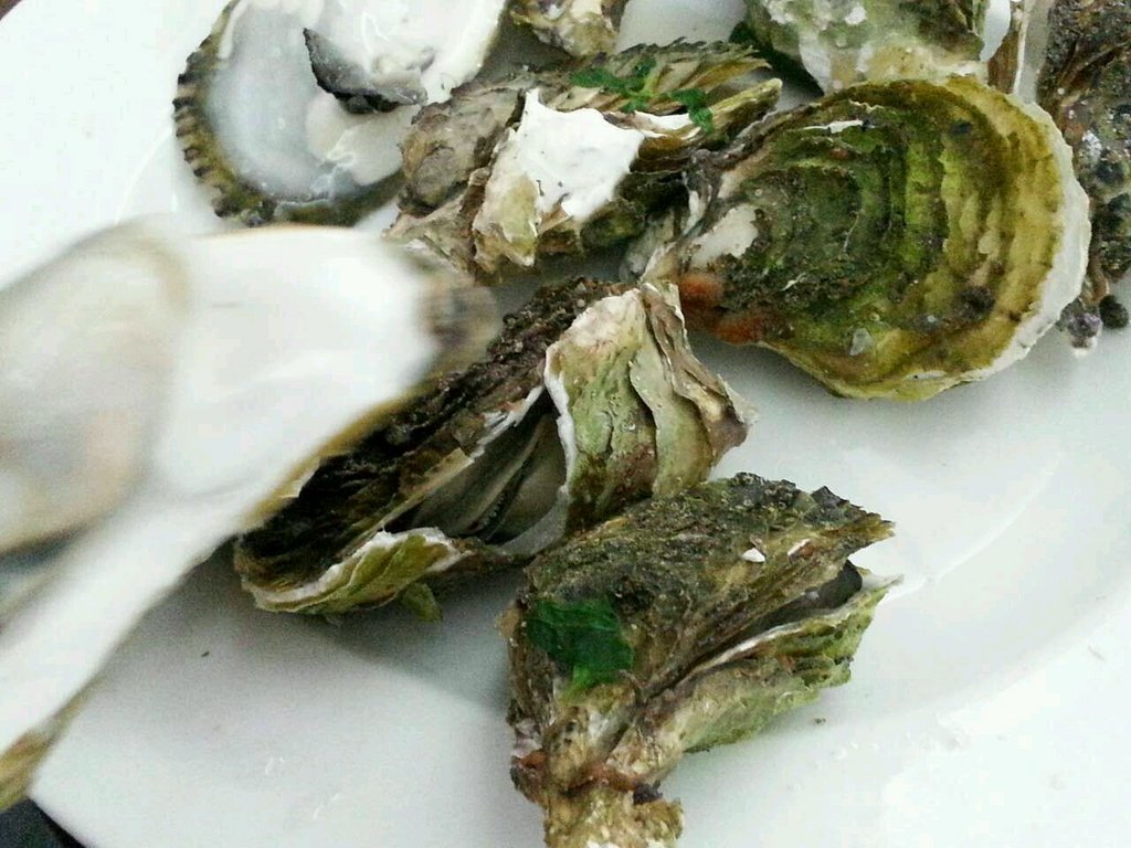 汕头美食-鲜鲜海鲜坊