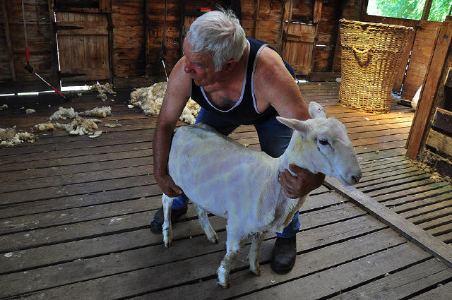 来,当一天纯正的澳洲农民,澳大利亚旅游攻略 - 马蜂窝