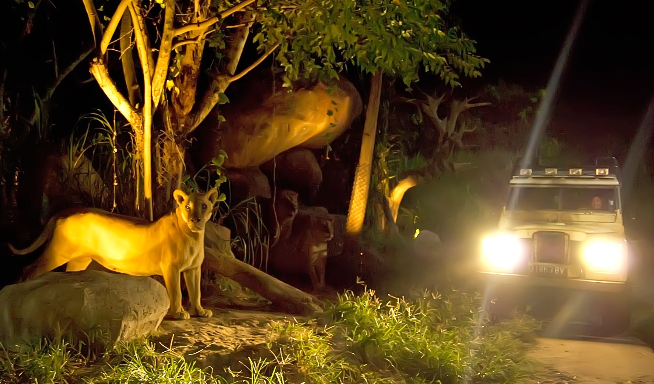 巴厘岛夜游野生动物园night safari夜间半日游(含火舞表演 晚餐)