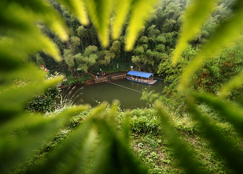 云上禅林净土 天赐景养之所龙吟寺龙吟寺蜀南竹海观云亭观云亭龙吟寺