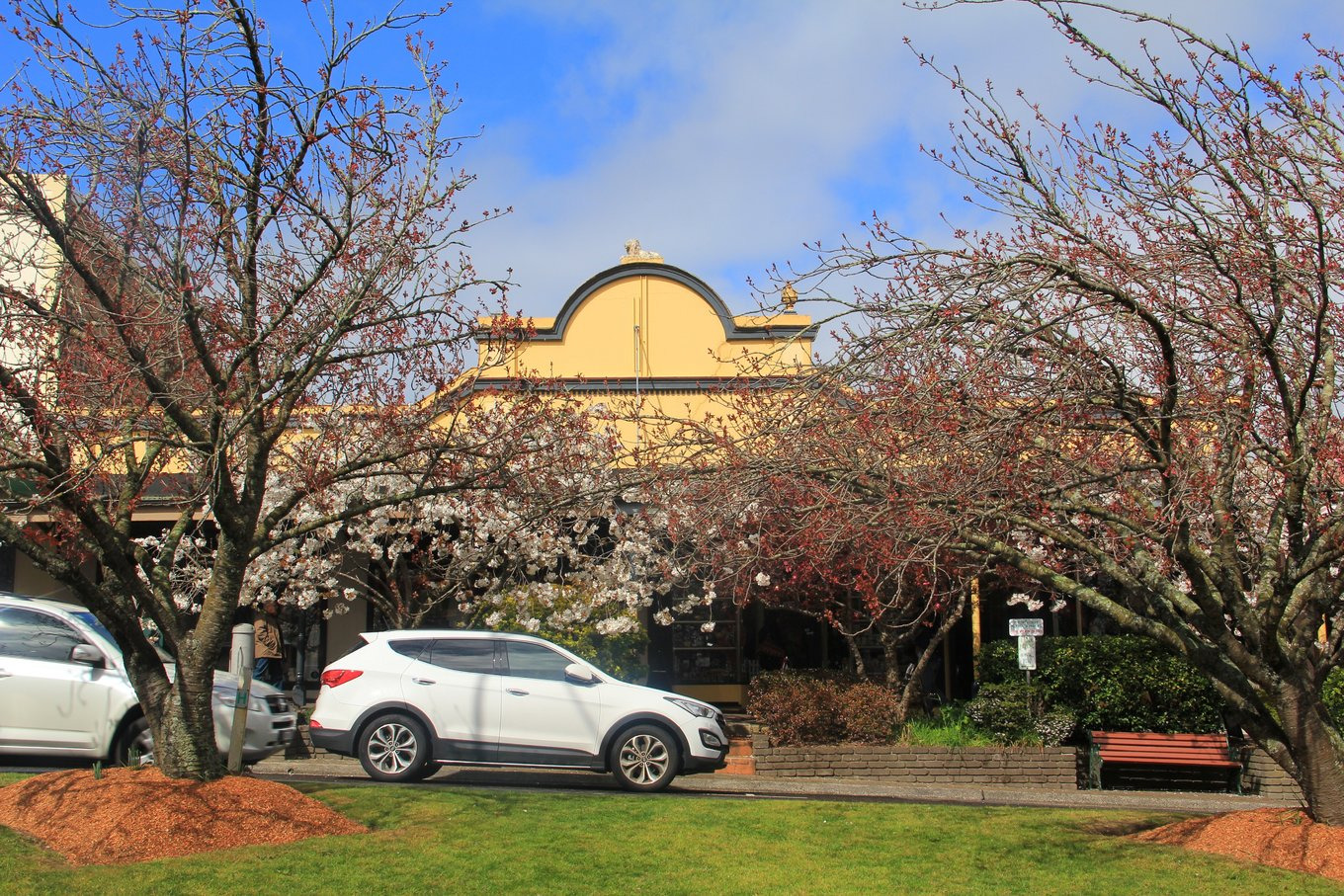 世界遗产蓝山→罗拉小镇包车一日游,悉尼往返